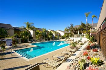 2 Beautiful pools and spas